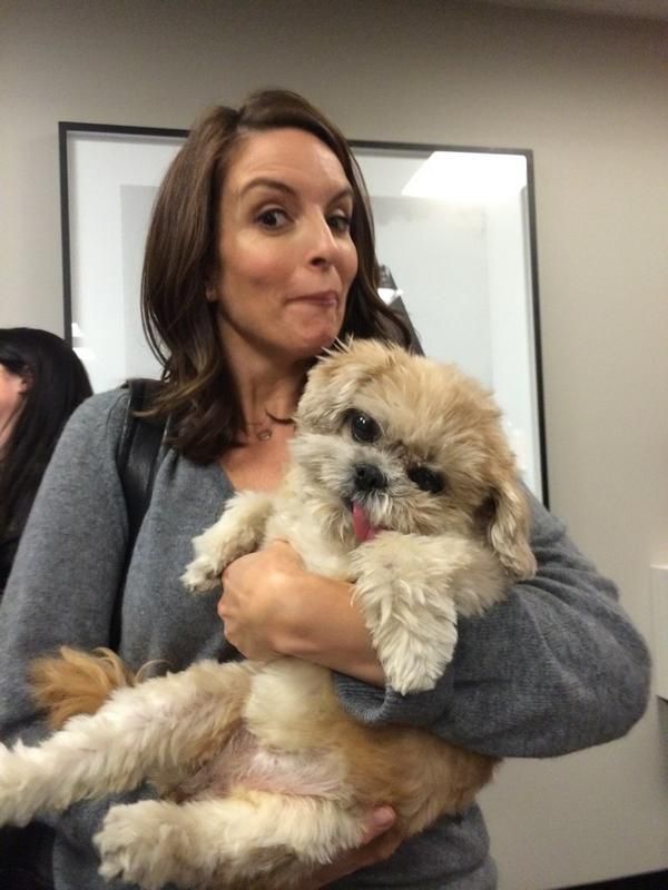 Tina Fey Surprised by Canine Company at ‘SNL’ Headquarters