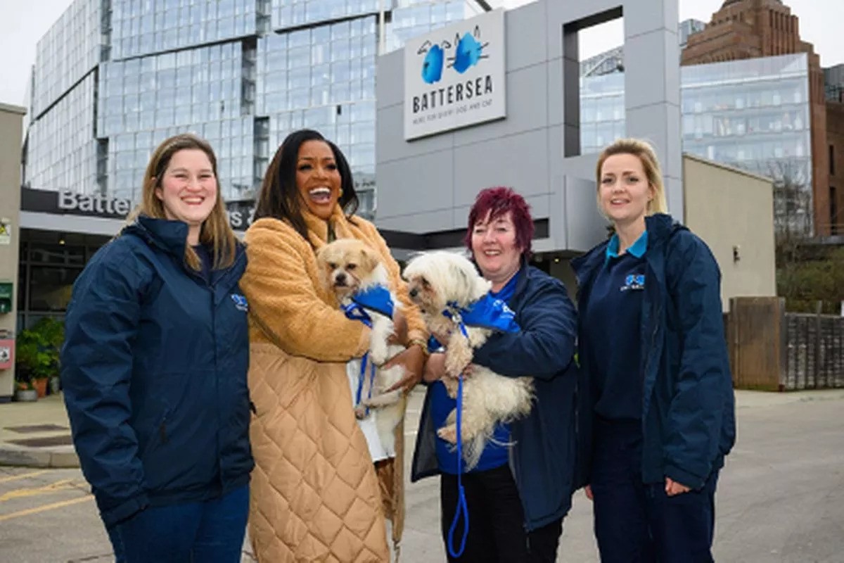 Alison Hammond to Host ITV’s For The Love of Dogs: Bringing Tail-Wagging Delight