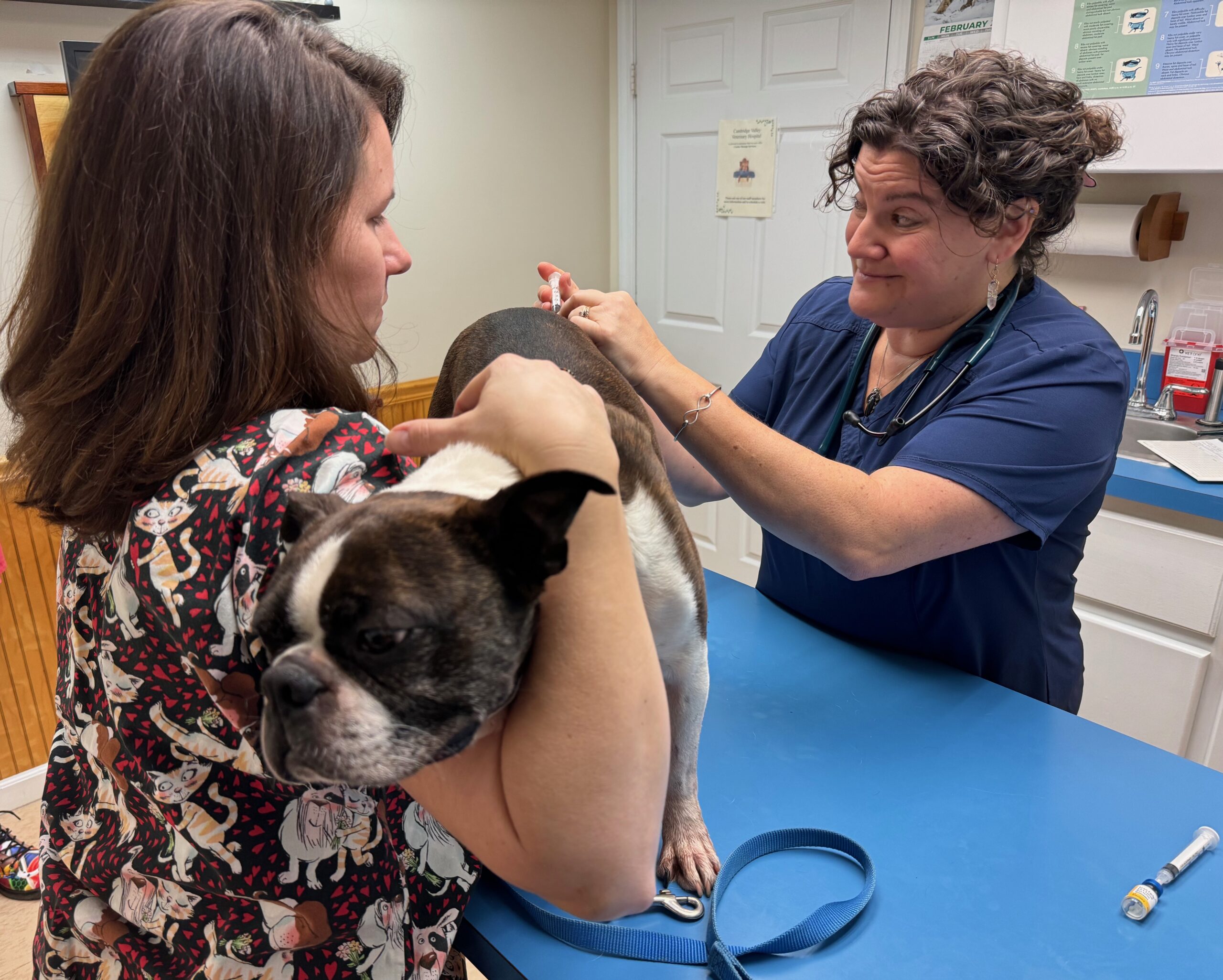 Bud’s Thriving Checkup: A Journey of Health and Happiness