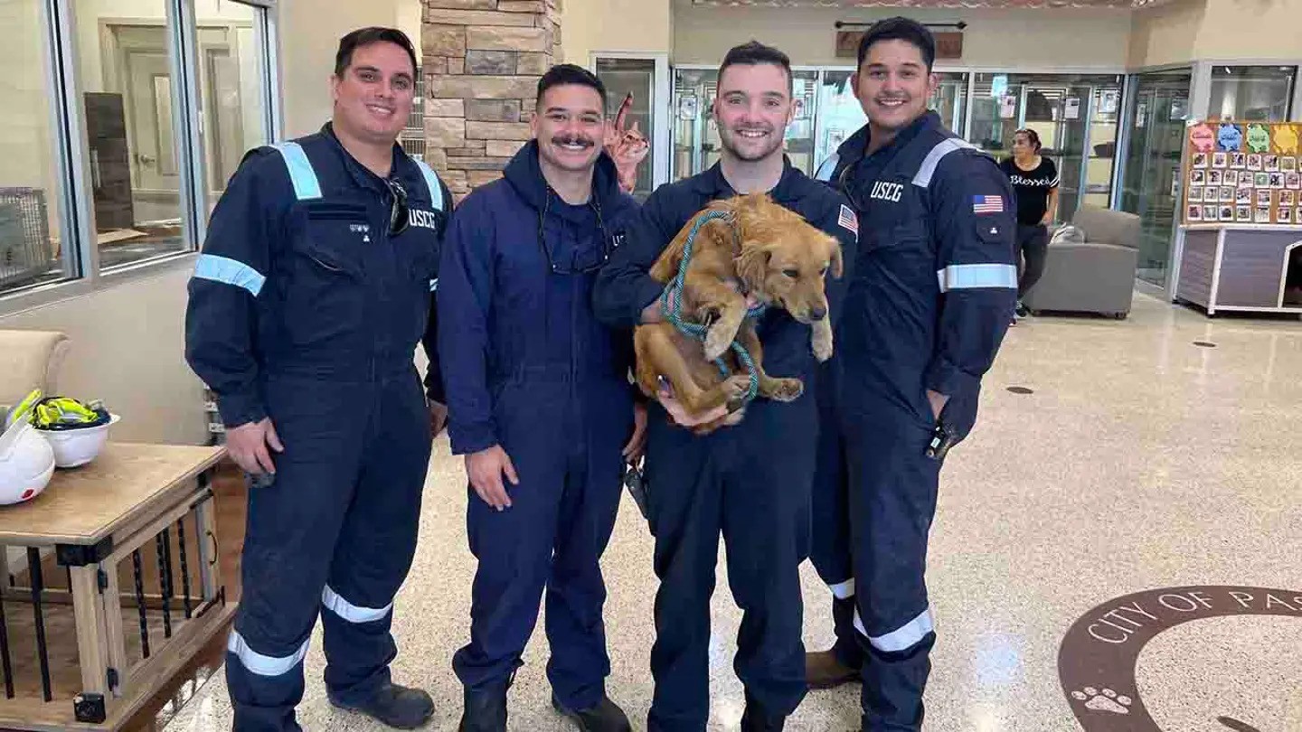 U.S. Coast Guard’s Rescued A Dog That Spent A Week In Container