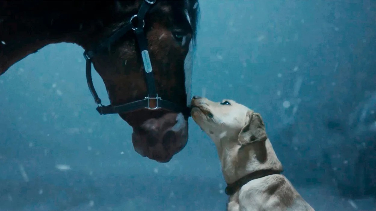 Budweisers new Super Bowl Features Dog, Horse, But No Heart