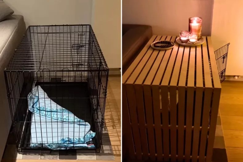 A Dog Owner’s Clever Crate Makeover Is Pawsitively Stylish