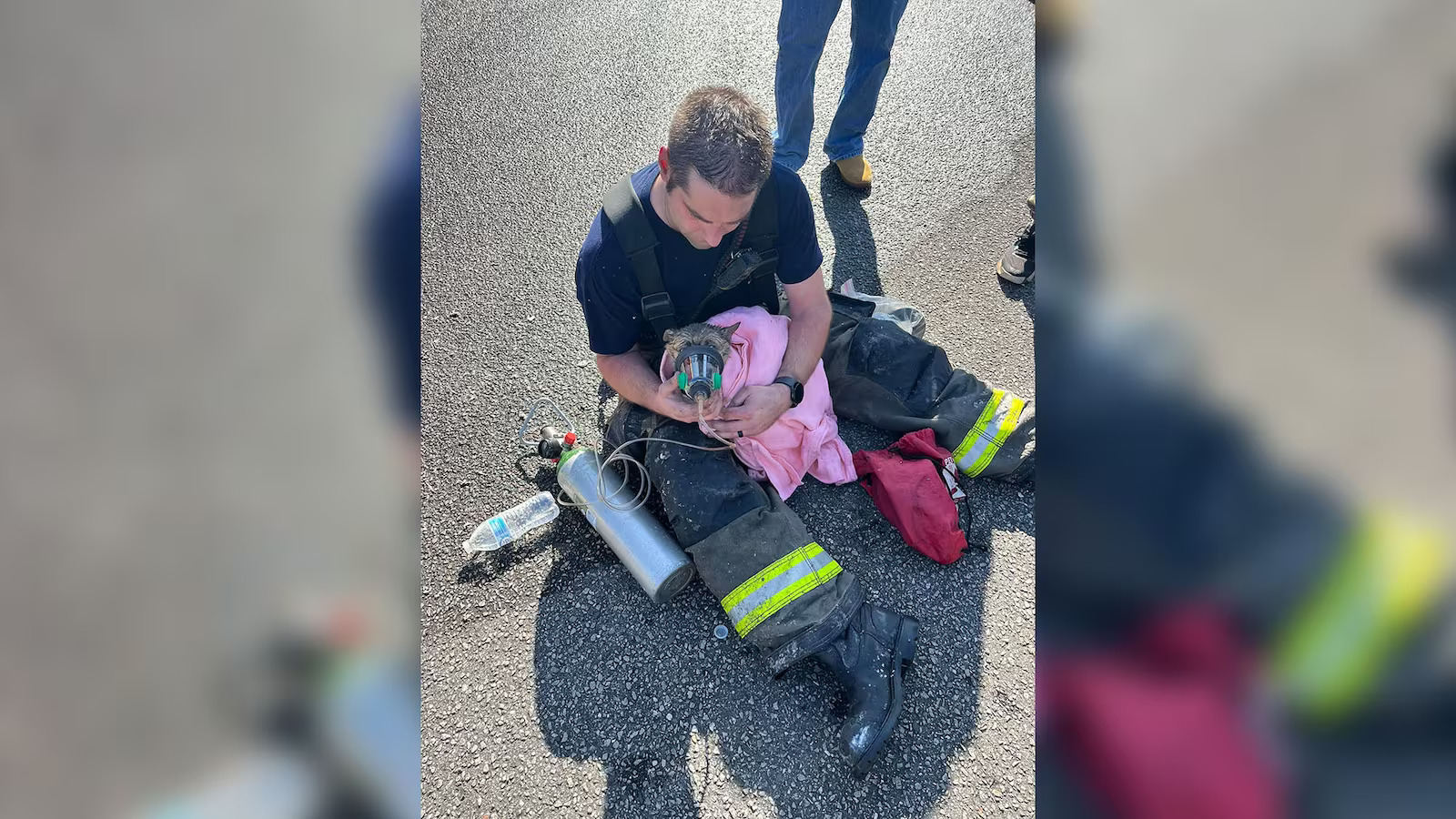 Firefighters Save Dog From Burning House