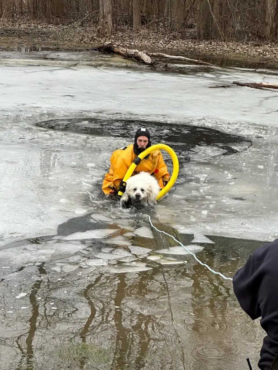 Giant Pup Saved from Icy Pond by Quick-Thinking Firefighters