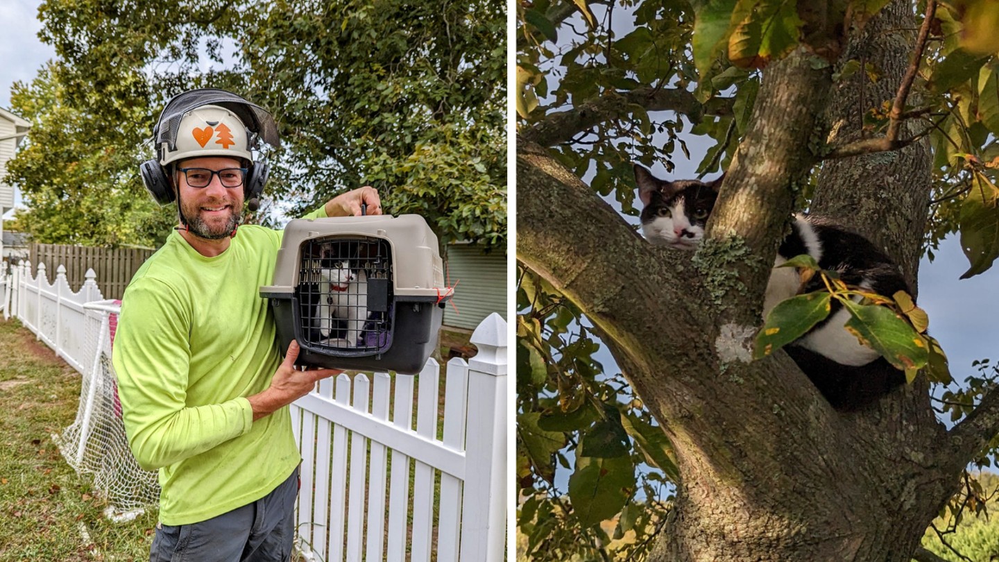 Tree-Climbing Hero Saves Dozens of Cats in New Jersey
