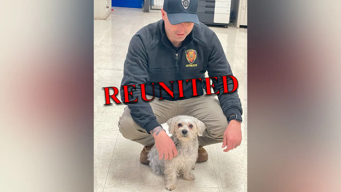 The Incredible Journey of a Lost Dog Reunited on the Transit Express
