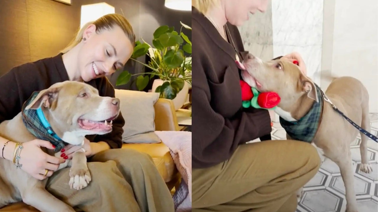 A Love Story with Scarlett Johansson and Ocean the Rescue Dog